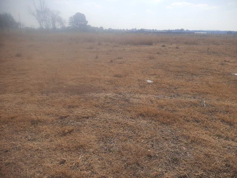 1Ha small holding for farm produce and a contry living - Photo 7