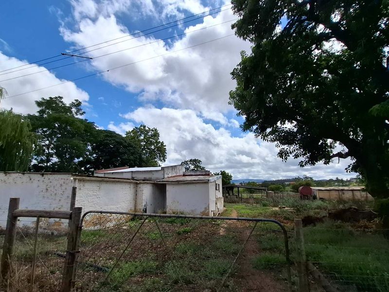 Versatile Property: From Farm to Function Venue! - Photo 8