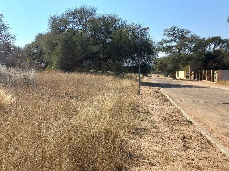 A view of the street frontage adjacent to the vacant residential land, featuring an asphalt road, street lighting, and surrounding natural vegetation.