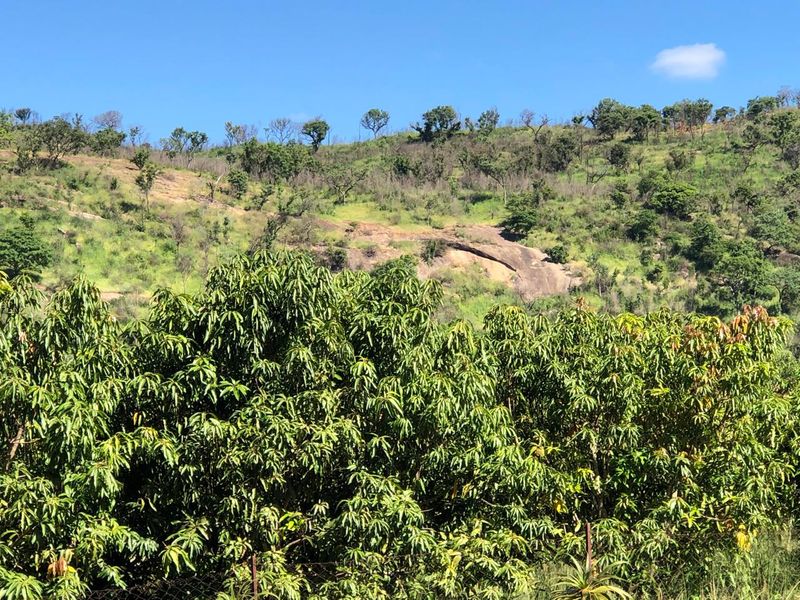 The Perfect Retreat: Farm Life Close to Tzaneen! - Photo 10