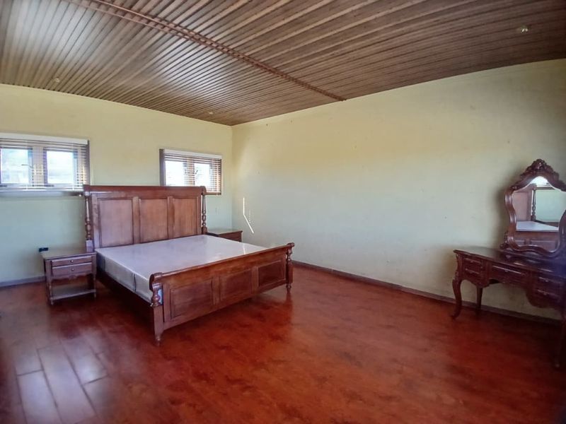 Spacious bedroom featuring laminate flooring, a corrugated metal ceiling, and aluminium window frames with fitted blinds.