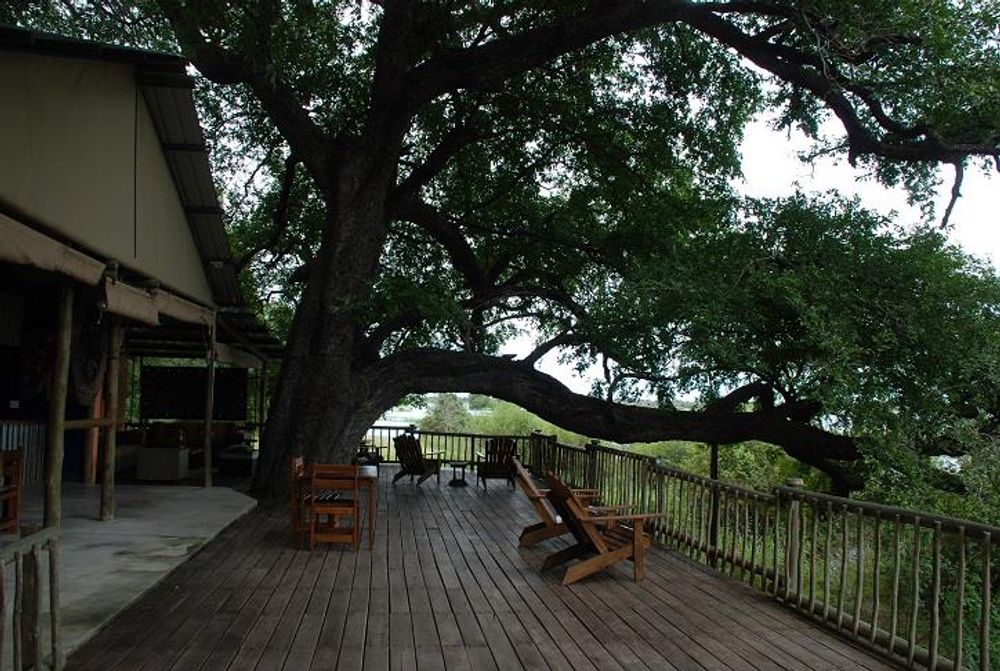 Entertainment Area - Looking towards Jackelberry Tree