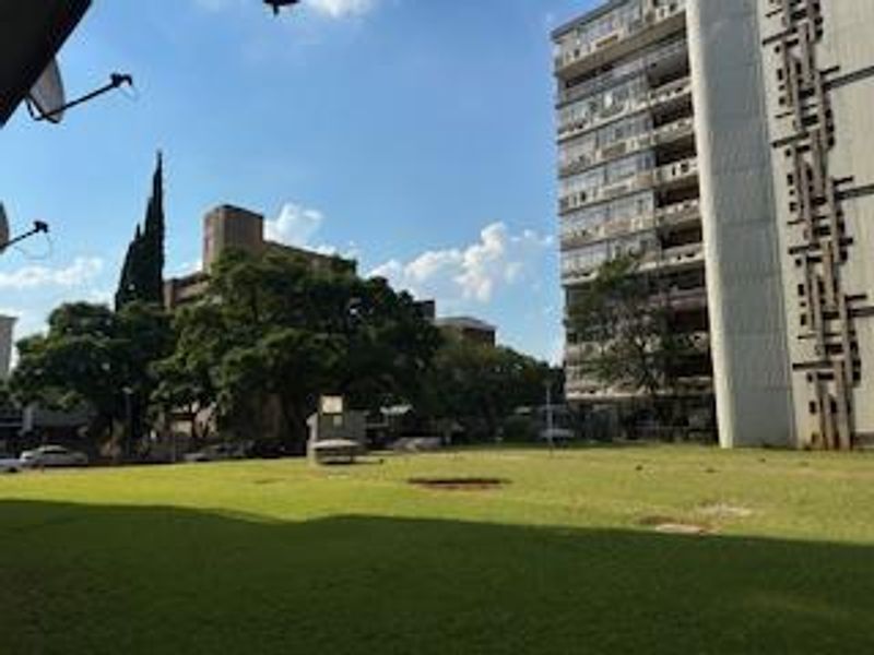 Smart Investment: Sunnyside 1-Bedroom! - Photo 10