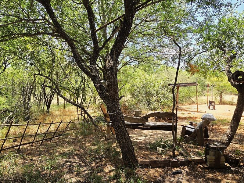 Greenbelt Investment Opportunity in Zandspruit Valley Estate - Photo 6