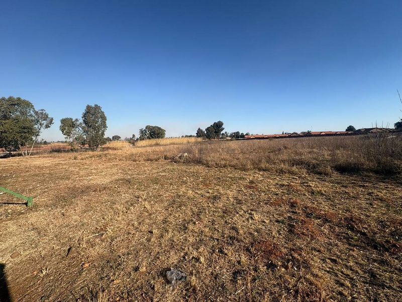 A wide-angle view of a vacant residential plot featuring dry grass and surrounding trees under a clear blue sky.
