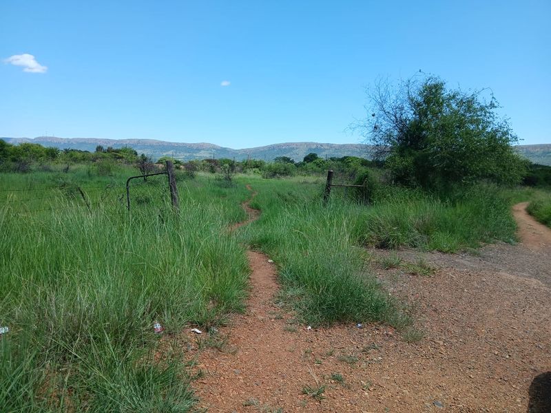 Investment Opportunity - Photo 4
