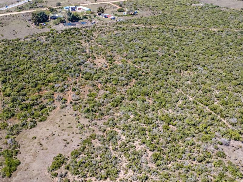 9ha Vacant Land | Uitenhage - Photo 8