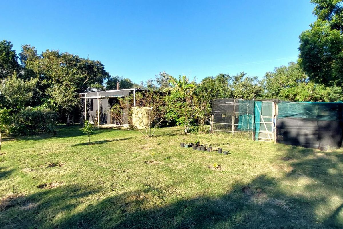 A view of the residential land featuring a large grassy area, mature trees, and existing temporary structures and storage sheds.