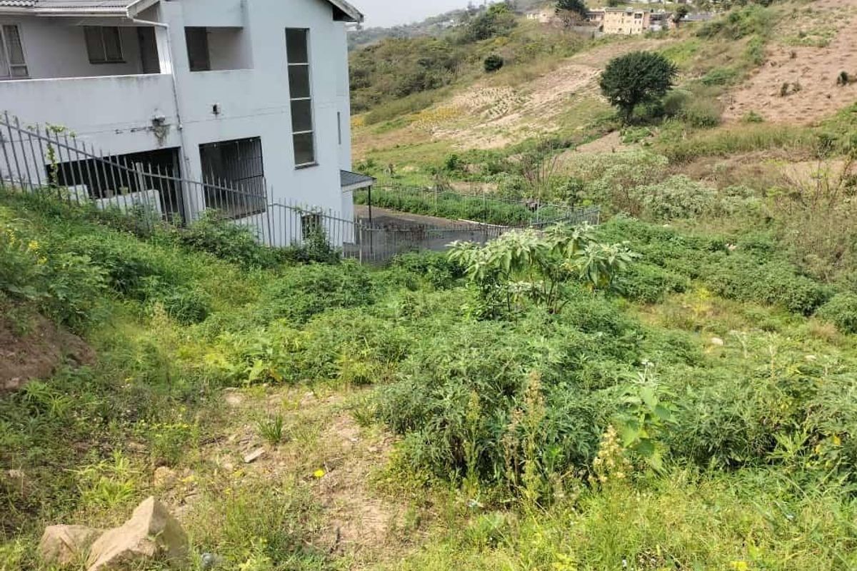A view of the rear exterior of the property showing a sloped, overgrown garden area adjacent to the building structure and perimeter fencing.