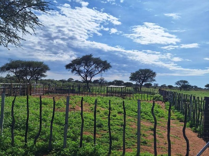 Cattle & Game Farm in the Hochfeld area. - Photo 8