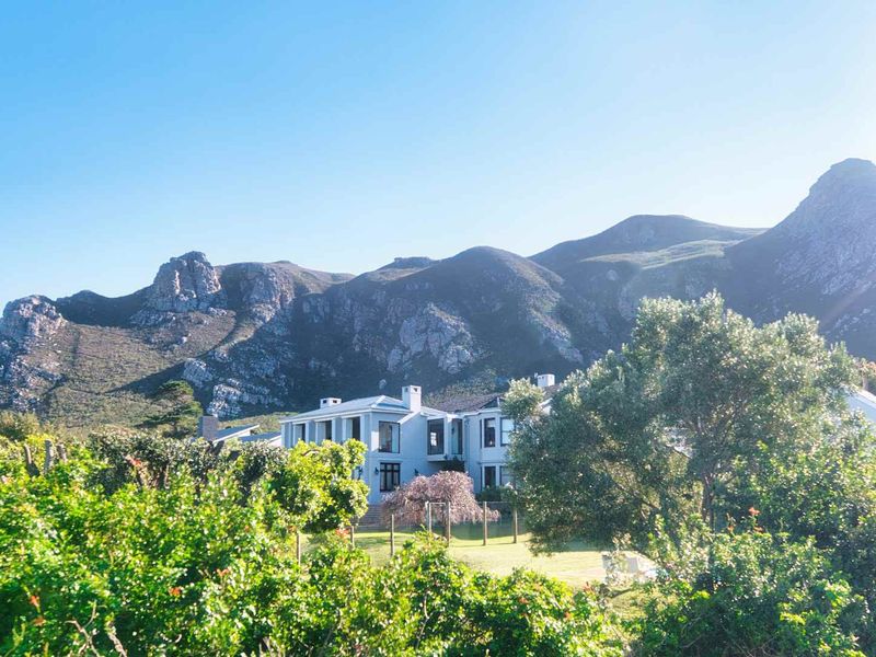 LARGE RESIDENTIAL HOME IN HERMANUS - Photo 4