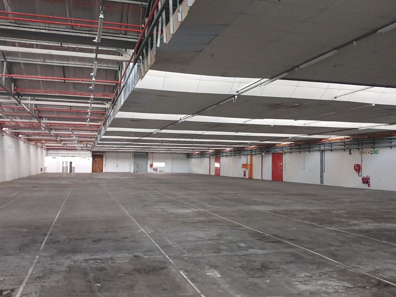 Expansive industrial warehouse space featuring high ceilings with exposed steel trusses, integrated fire sprinkler system, skylights, and durable concrete flooring.