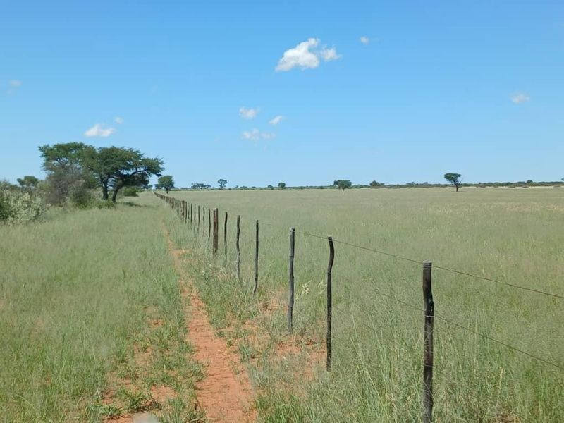 Farm For Sale - Photo 9
