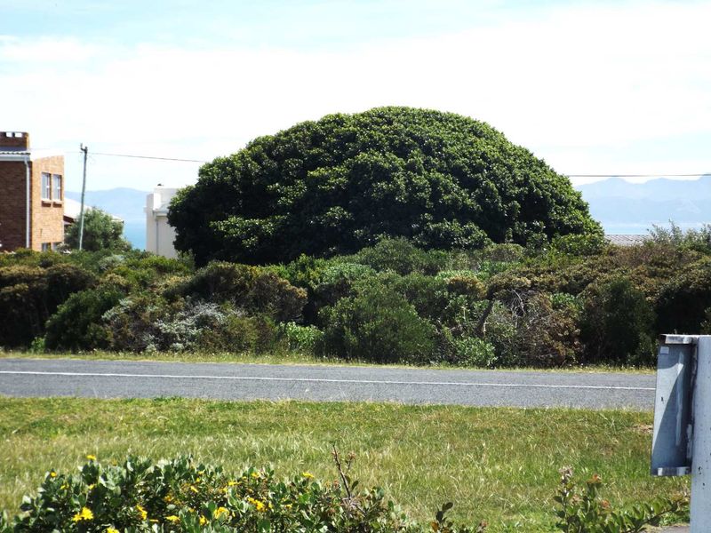 PLOT OFFERS  SEA AND MOUNTAIN VIEW - Photo 6