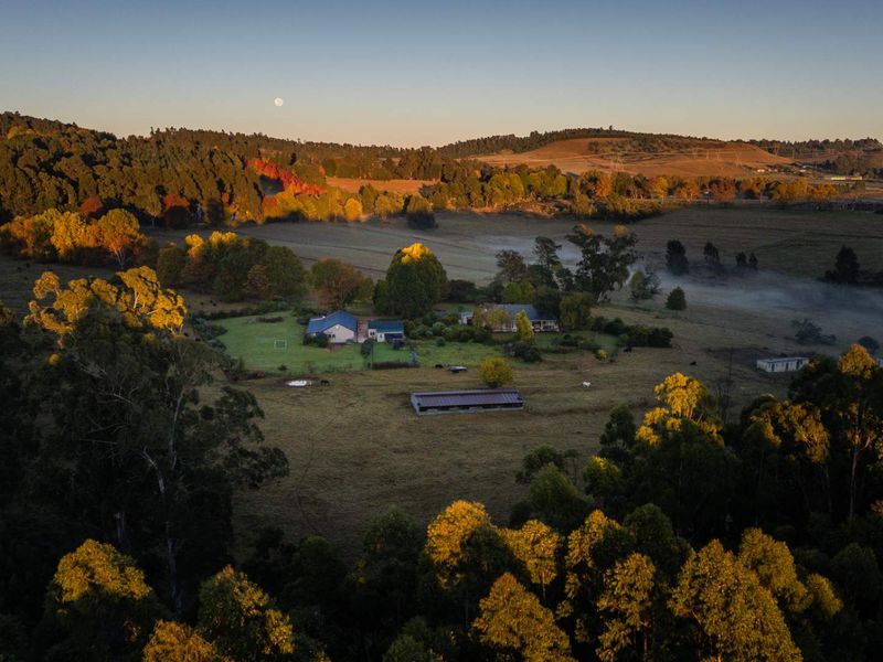 Smallholding with Two Homes in Curry’s Post, Howick. - Photo 7