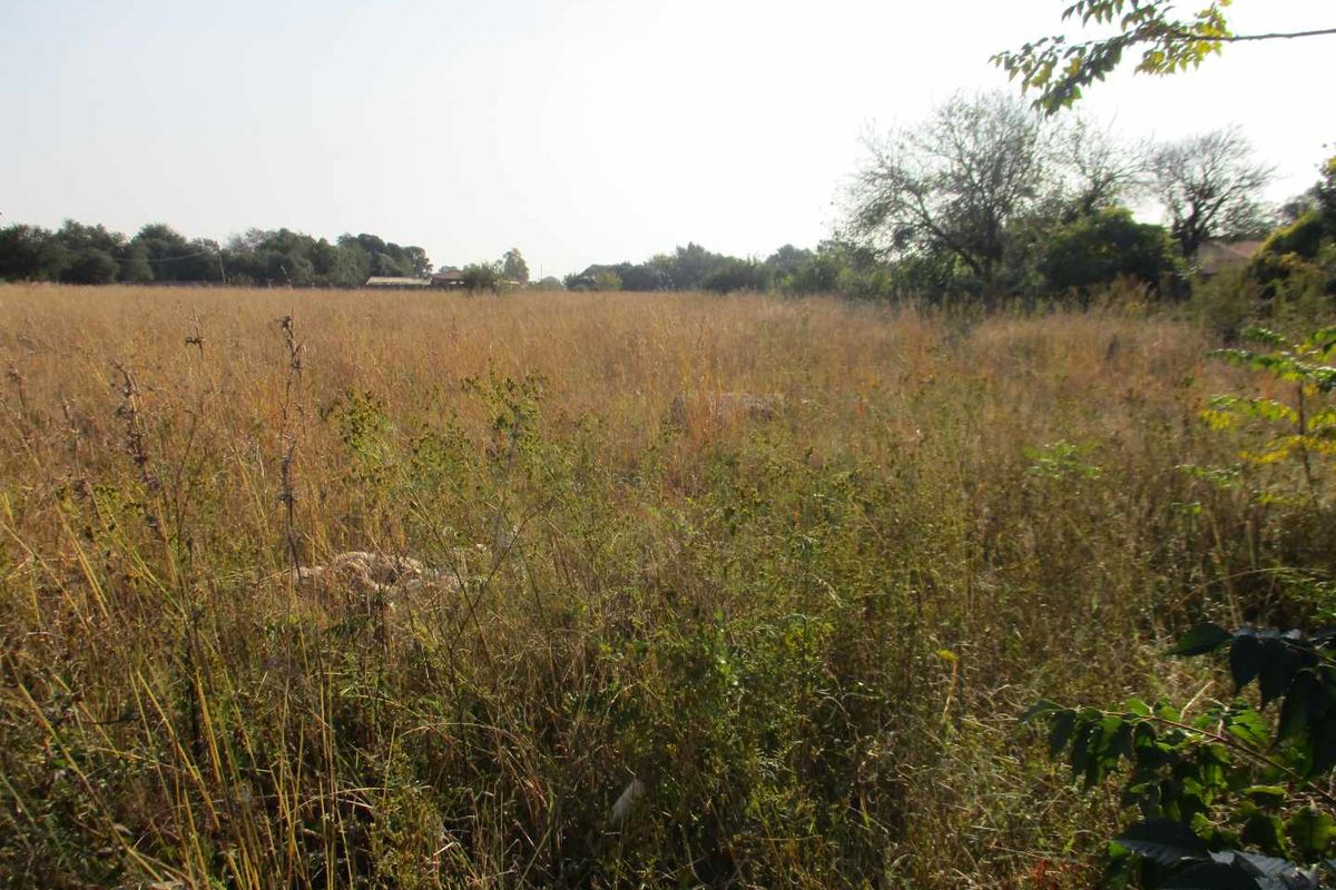 VACANT STAND IN HENLEY - Photo 2