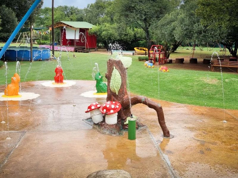 Exceptional Business Opportunity close to Hartbeespoort - Photo 7