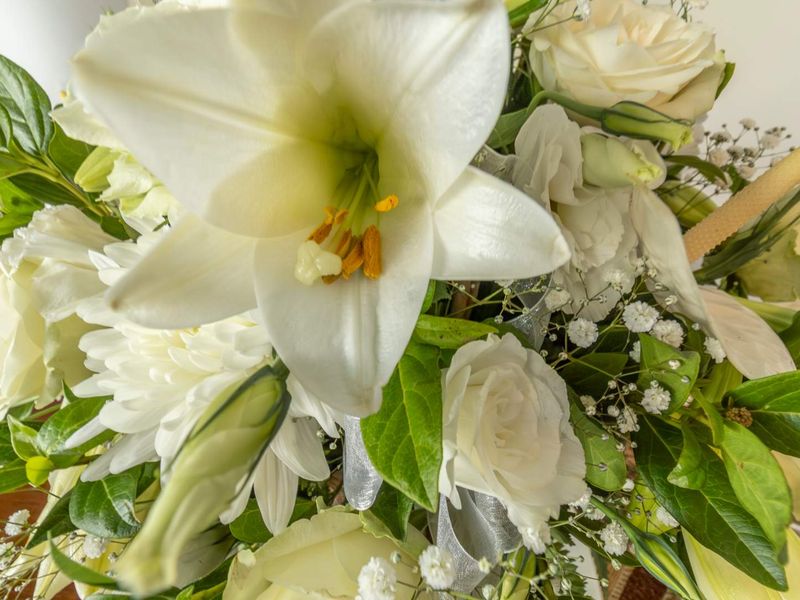 Fine modern-day distinction - Photo 6