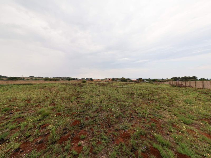 Exclusive and rare opportunity - Photo 3