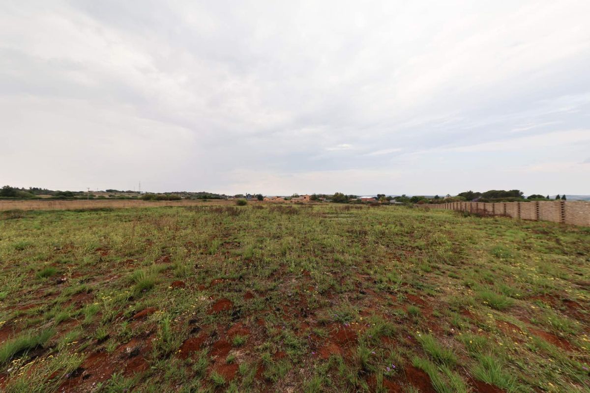 Exclusive and rare opportunity - Photo 3
