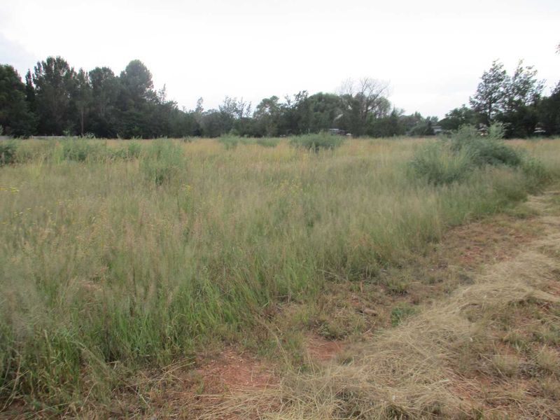A view of a vacant residential plot featuring natural grass and vegetation, suitable for future development.