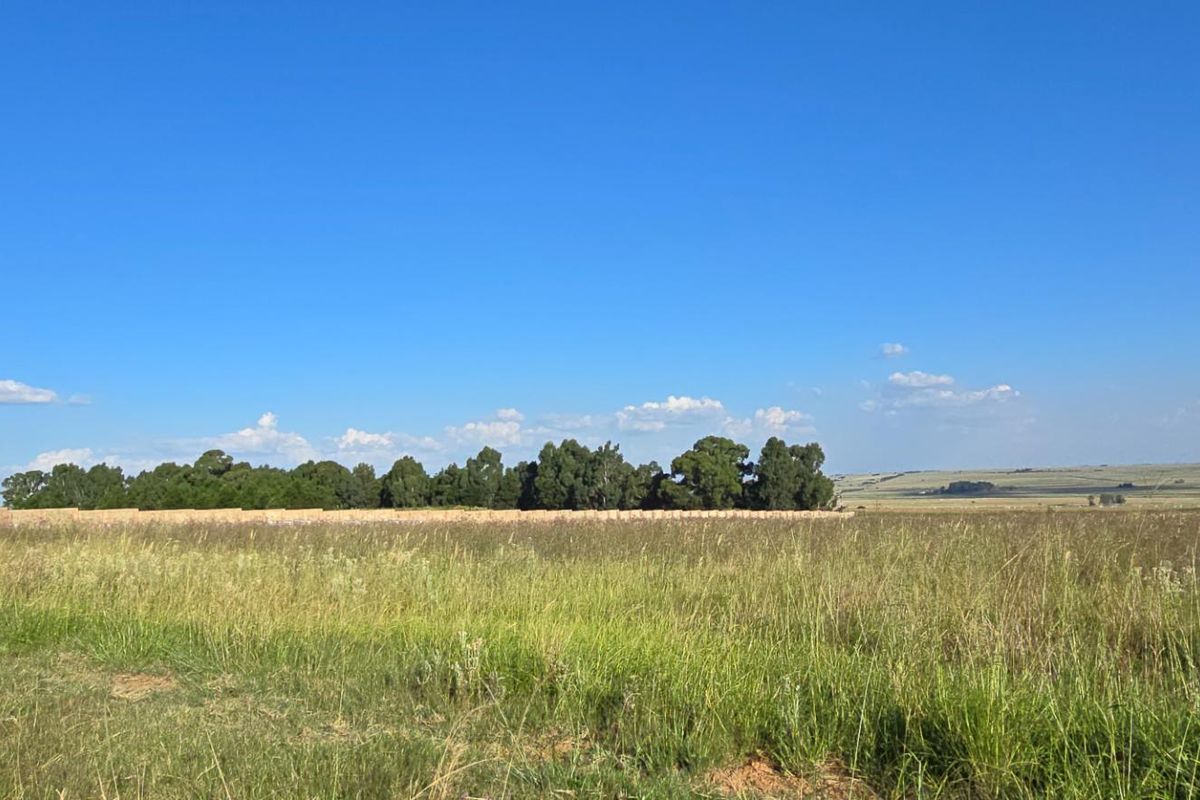 A wide-angle view of the vacant residential land, featuring open grassy fields and a line of mature trees in the distance.