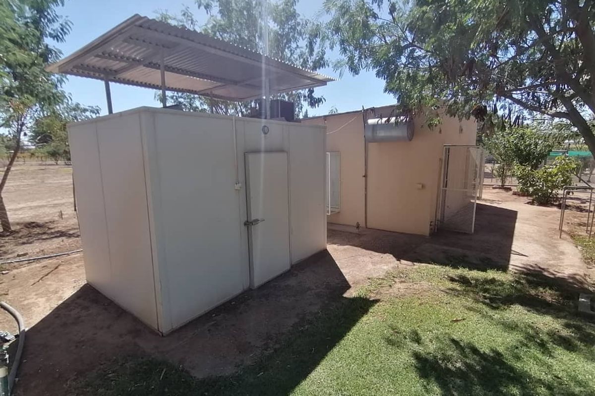 NUTRITIONAL RICH AGRICULTURAL / RESIDENTIAL PLOT FOR SALE IN HARDAP NAMIBIA - Photo 2