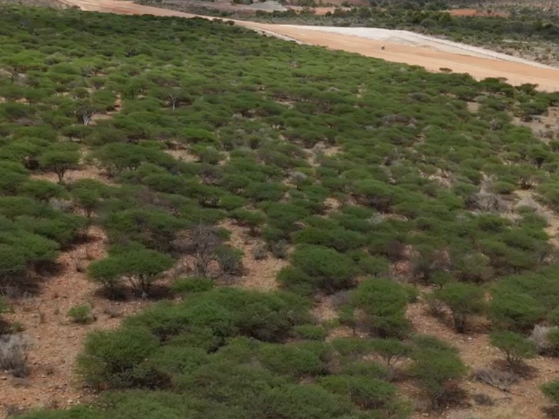 This 560-hectare plot of land is situated in a prime location between the old airport road and the new airport road. - Photo 5