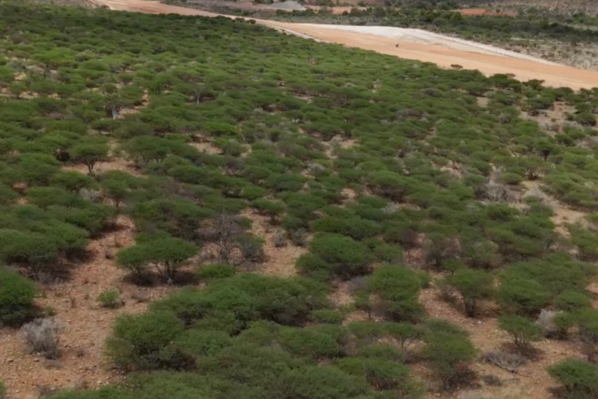 This 560-hectare plot of land is situated in a prime location between the old airport road and the new airport road. - Photo 5