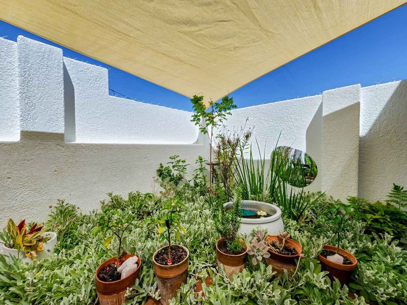 HOUSE IN SEA POINT - Photo 5