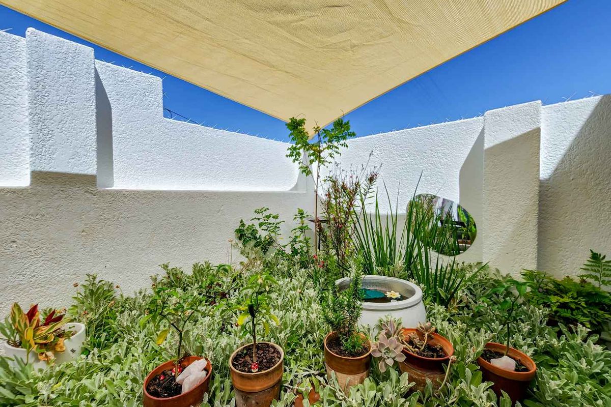 HOUSE IN SEA POINT - Photo 5