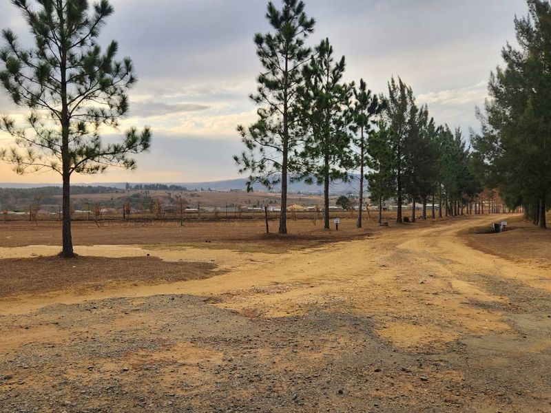 Farm for sale with venue and housing - Photo 7