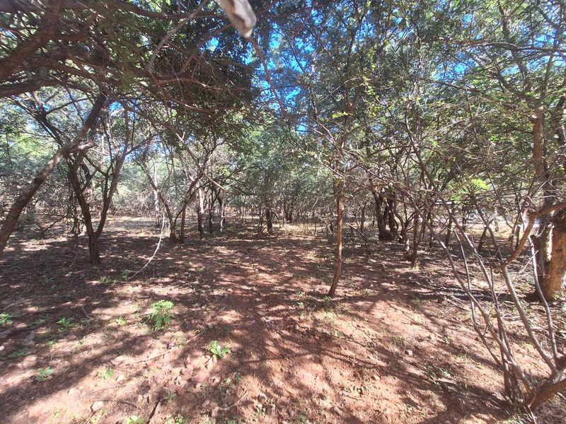 Escape to Leeupoort - Natures Sanctuary Near Pretoria - Photo 5