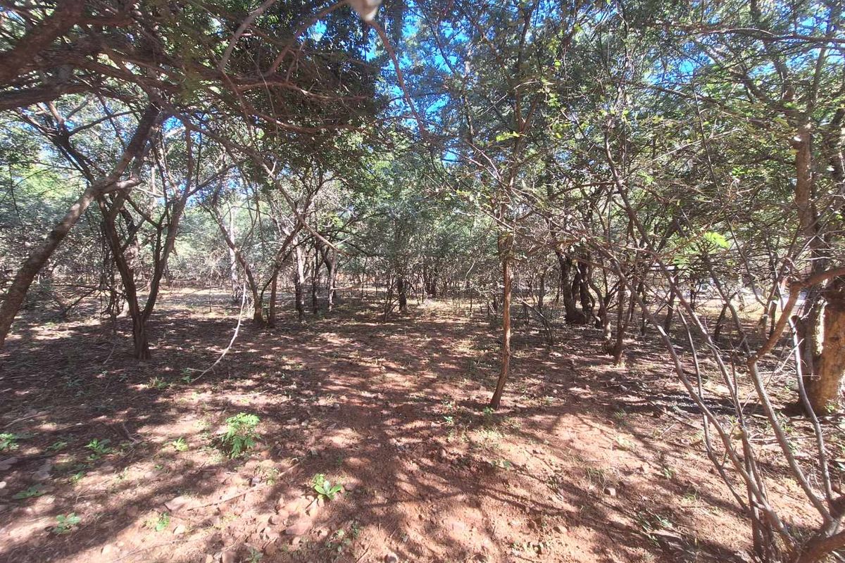 Escape to Leeupoort - Natures Sanctuary Near Pretoria - Photo 5