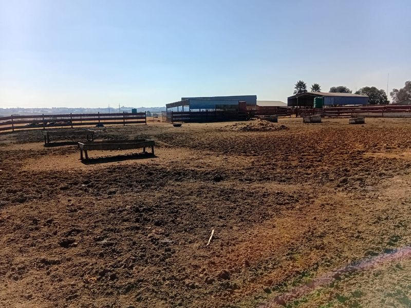 Kraal & Grazing Land to Rent – Withok Estate, Brakpan - Photo 6