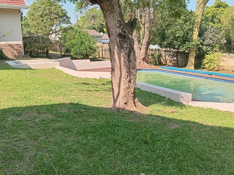 A backyard area featuring a swimming pool with tiled coping, a retaining wall, and a grass lawn.