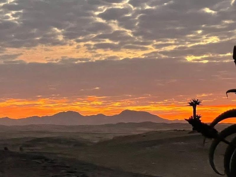 Space, Views, and Value - Photo 4