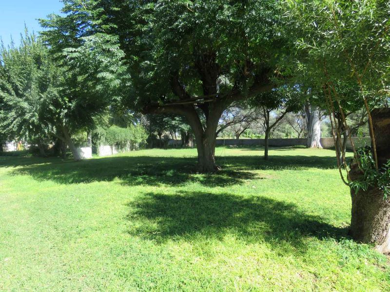 Farm & Thrive: 24,6739 Hectare Opportunity - Photo 8