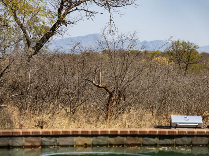 Private Bushveld Home with Mountain Views in Raptors View Wildlife Estate - Photo 3