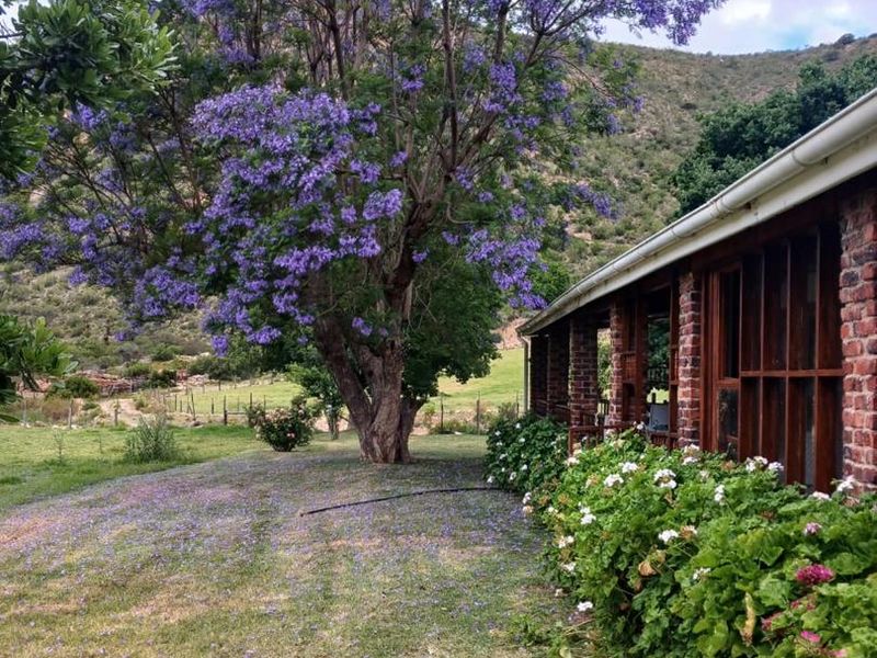 Once-in-a-Lifetime Opportunity: Own a Piece of Kouga Wilderness - Photo 5
