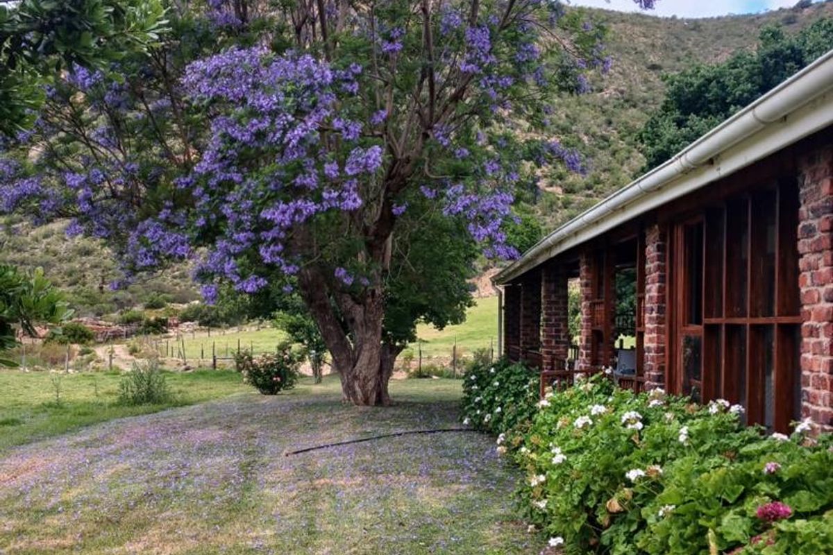 Once-in-a-Lifetime Opportunity: Own a Piece of Kouga Wilderness - Photo 5