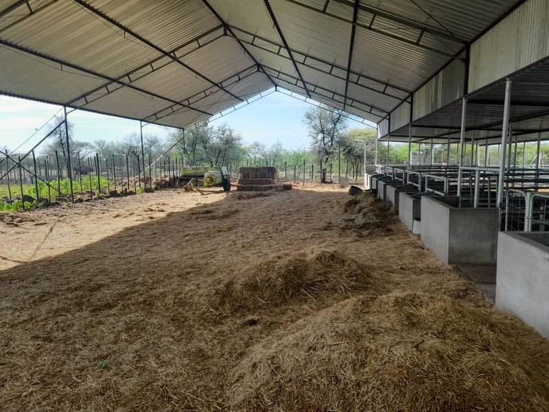 "Exceptional Farm for sale: Livestock, game & Luxury Living Combined - Photo 6