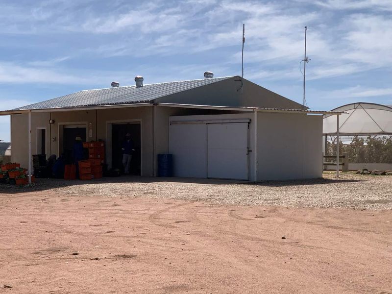 Established fresh produce plot - Photo 8