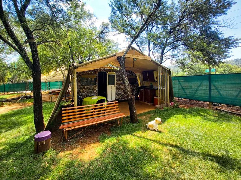 Exceptional Business Opportunity close to Hartbeespoort - Photo 5