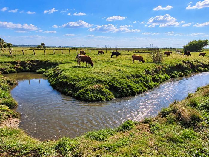 Property #2561875, Farm For Sale in Heidelberg AH