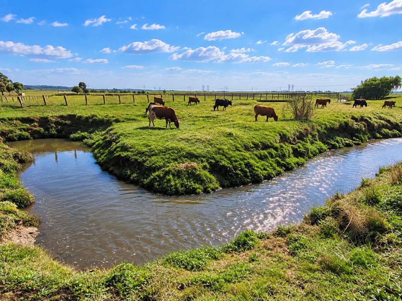 A scenic view of the farm property featuring open grazing pastures, livestock, and a natural water stream.