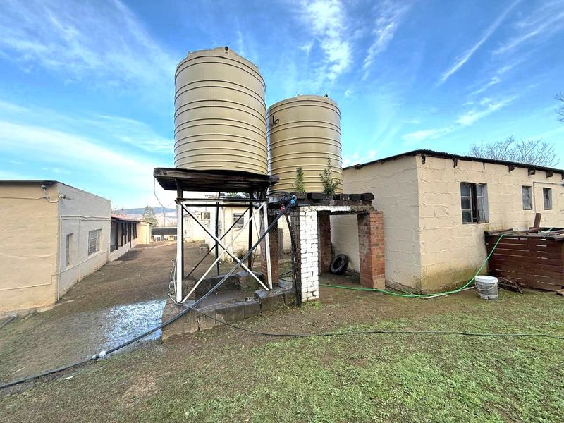 INCOME- GENERATING 2.2 HECTARES SMALLHOLDING IN DARGLE/ KZN MIDLANDS - Photo 9