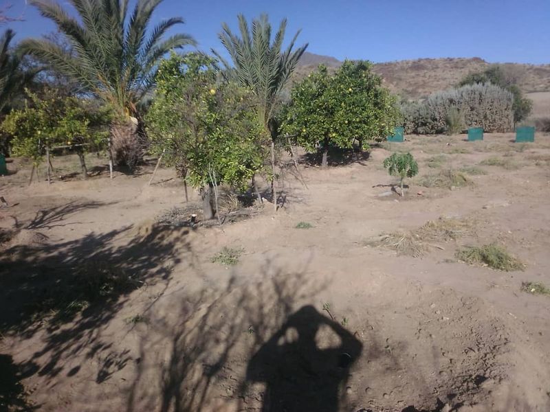 Plot with fruit trees for sale - Usakos - Photo 10