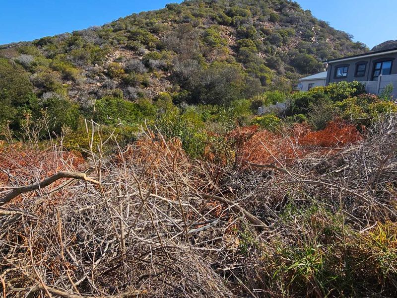 Duet Opportunity Vacant plot for a steal! - Photo 6