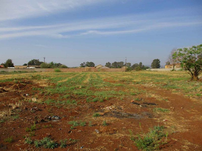 A vacant residential plot featuring unimproved soil, sparse vegetation, and a perimeter brick wall boundary.